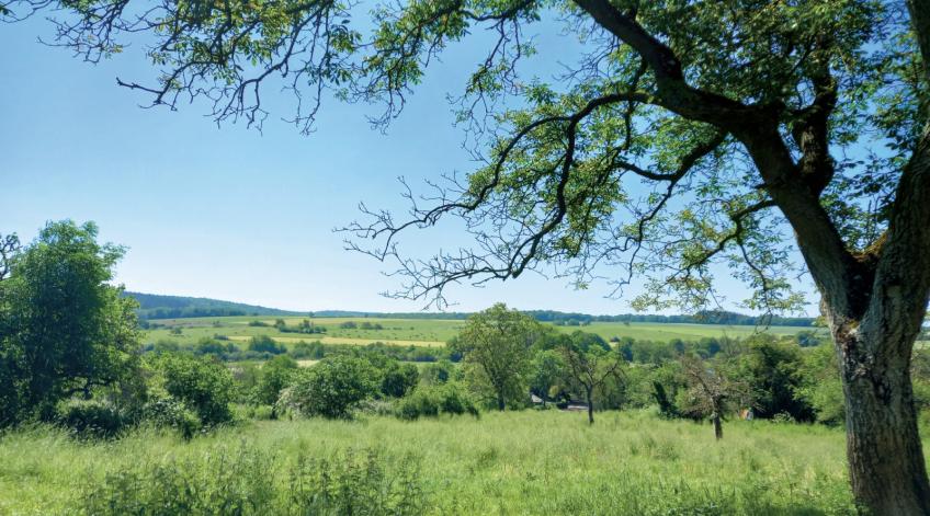 Paysages et changements climatiques - Focus sur l'évolution de nos paysages face aux changements climatiques... - Publications Parc Naturel Ardenne Meridionale