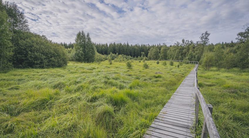 Le patrimoine naturel - Des habitats et espÃšces remarquables ! - Publications Parc Naturel Ardenne Meridionale