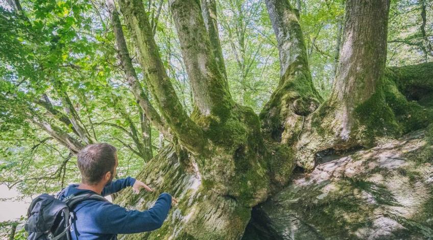 Formation sur la forêt multifonctionnelle