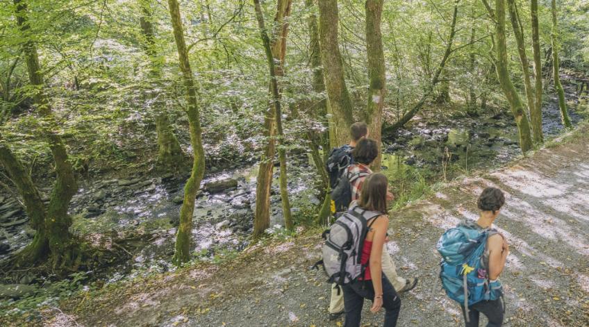 Promotion des promenades, circuits et randonnées - Mettre en valeur les nombreuses promenades de notre territoire - Publications Parc Naturel Ardenne Meridionale